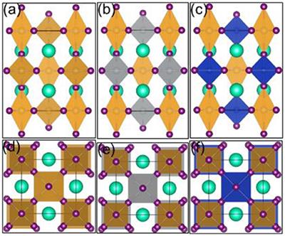 Theoretical Design for the Non-Toxic and Earth-Abundant Perovskite Solar Cell Absorber Materials